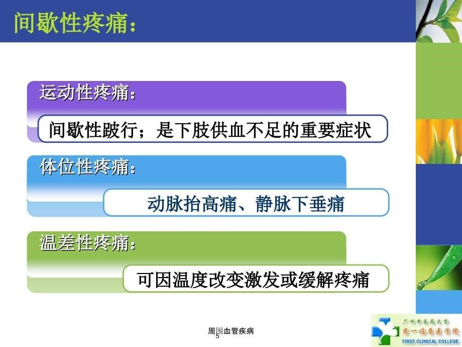 周围血管疾病培训课件_第5页