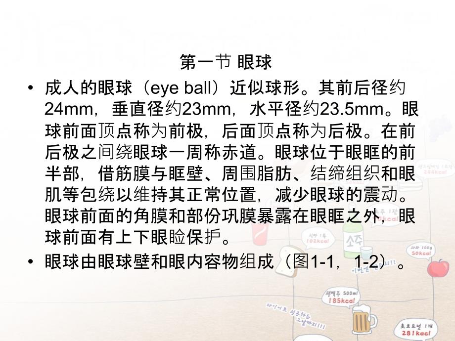 眼的解剖生理和胚胎发育_第4页