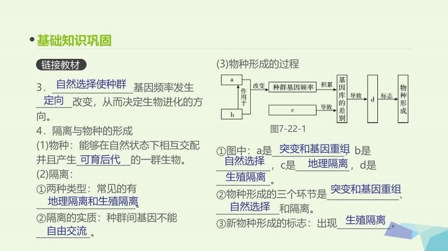 （全国版）2018版高考生物一轮复习（基础知识巩固考点互动探究考例考法直击教师备用习题）第7单元 遗传、变异与进化 第22讲 生物的进化课件[共41页]_第5页