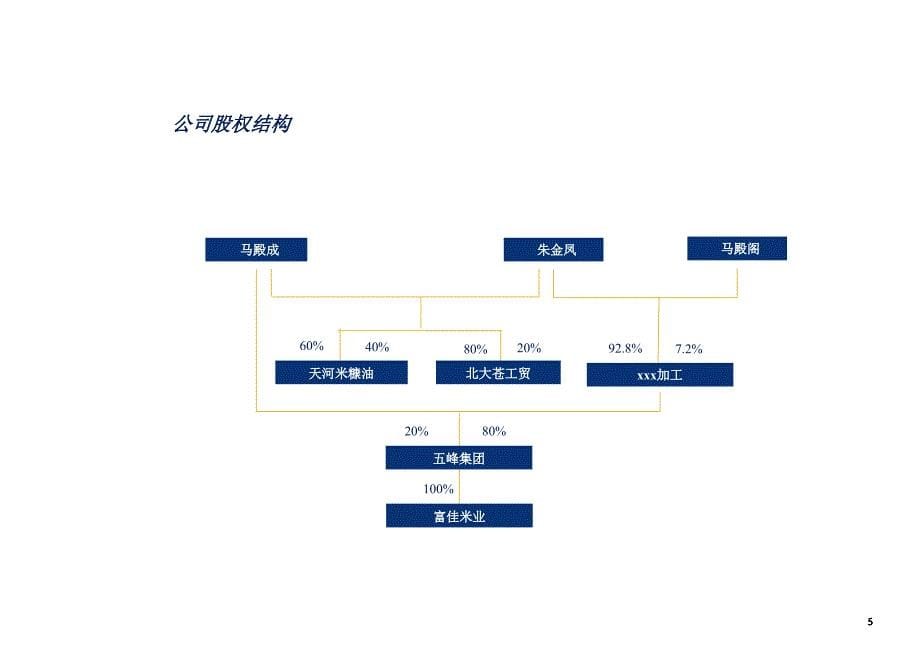 上市工作计划ppt课件_第5页