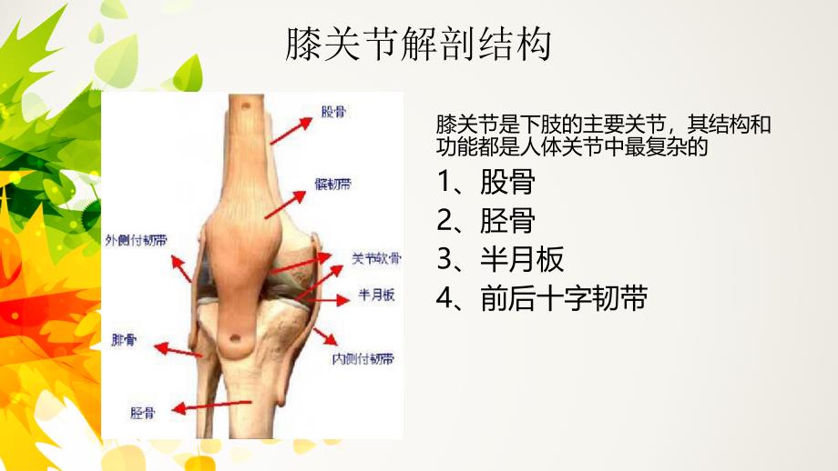 膝关节置换术后案例分析.ppt_第2页