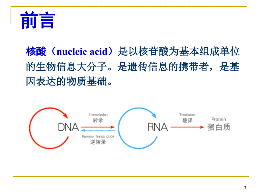 核酸分离和纯化ppt课件_第3页