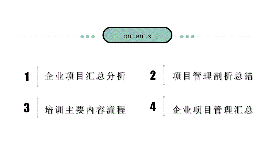 企业项目管理(4)_第3页