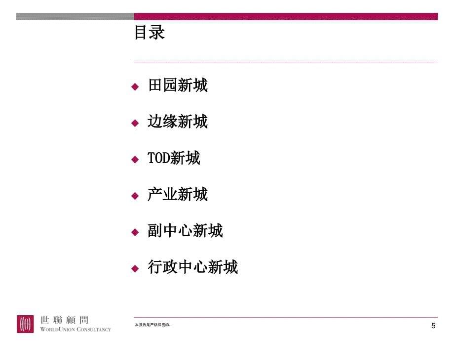 六种新城模式及案例_第5页