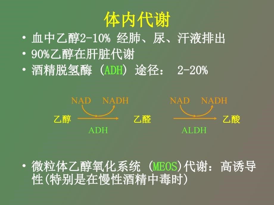 酒精中毒与神经系统损害_第5页