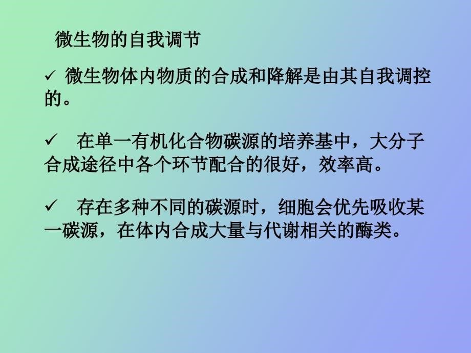 微生物代谢调节和代谢工程新_第5页